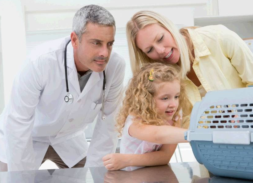 5 Things We Love and Sometimes Hate in the Veterinary Practice