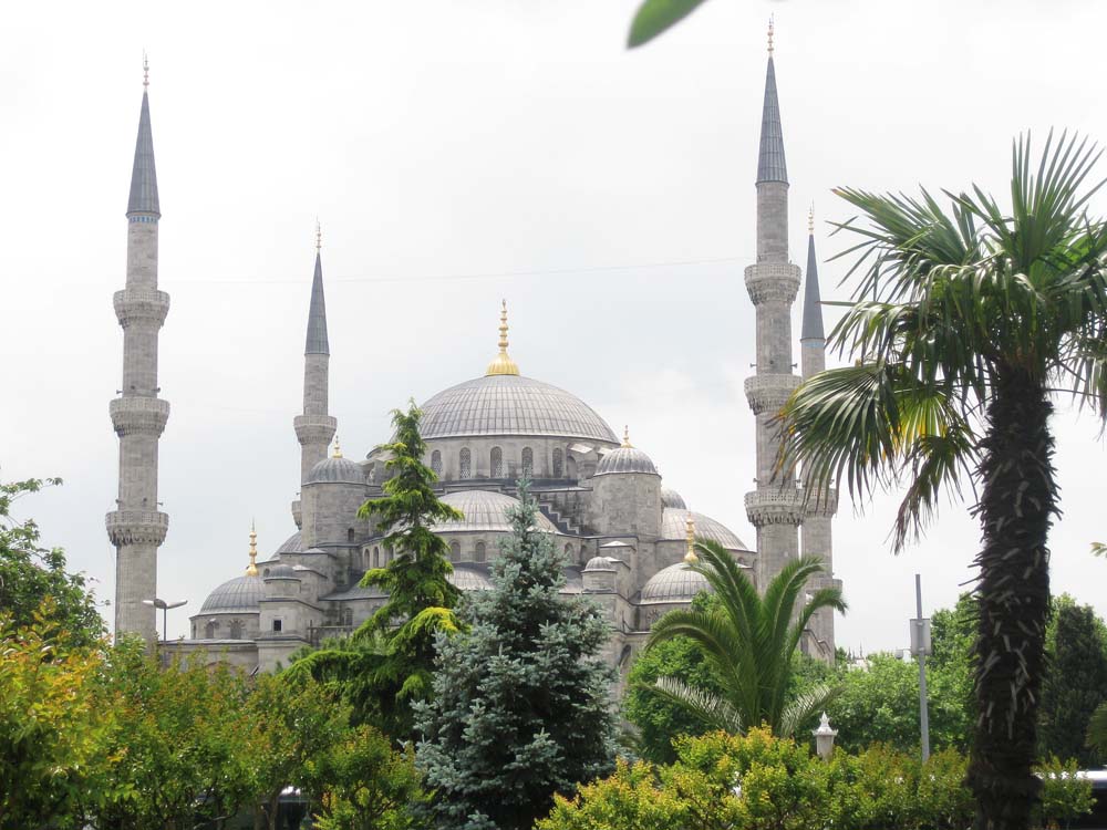 One Veterinarian's Adventures in Turkey
