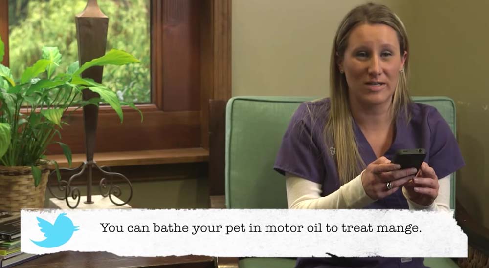 Vets reading bad pet advice will have you laughing