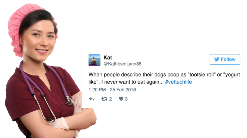 15 Tweets That Show the Other Side of Being a Vet Tech