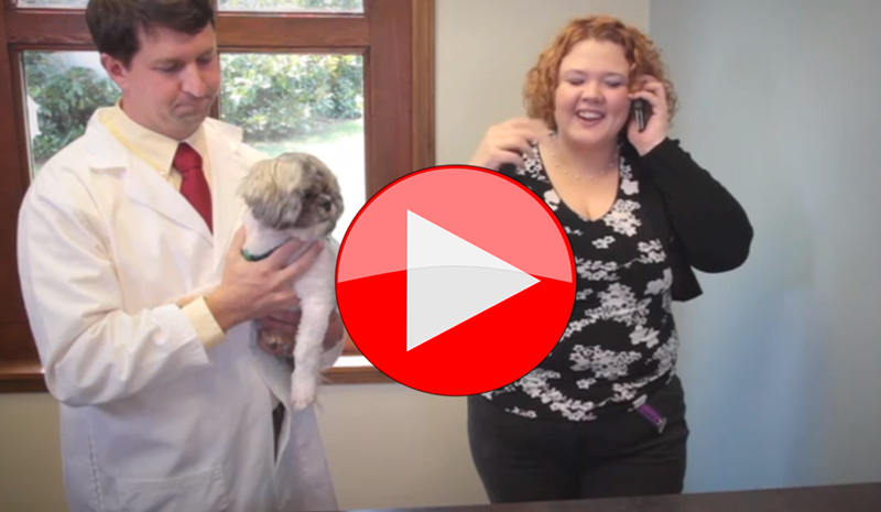 How Do Veterinary Clients Drive You Insane?