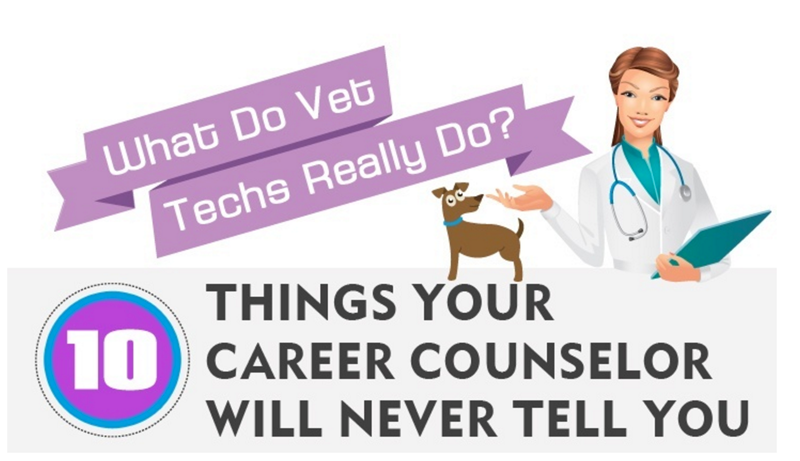 what they never tell you about being a vet tech in school vettech