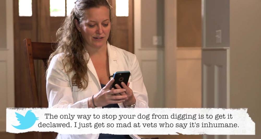 More vets reading bad pet advice