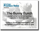 The Bunny Bunch