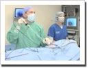 Laparoscopic Spay In Cats And Dogs Video