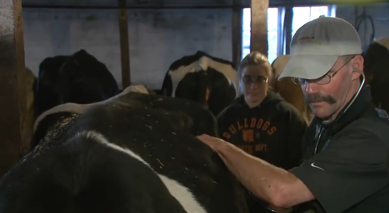“Charlie Bucket” Goes From Chocolate Factory to Farm