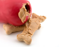 American Health Kennels Inc. Issues Recall