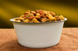 Bowl of pet food