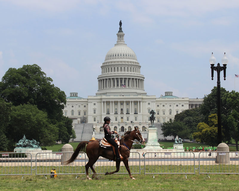 Soring Bill at Risk as Congressional Term Winds Down
