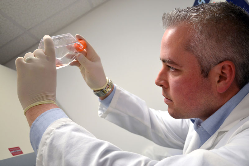 Virginia Tech Researcher Receives Grant to Develop Vaccine for Pigs