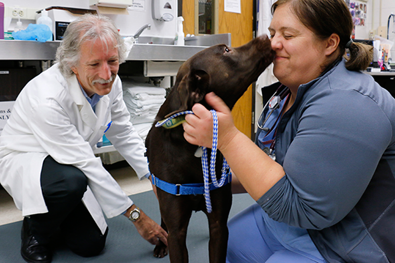 University of Wisconsin Gains New Professorship in Companion Animal Health