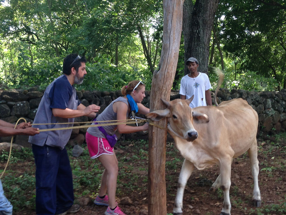 Oregon vet school students head to Nicaragua