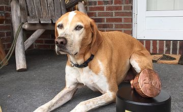 Pennsylvania dog wins 9<sup>th</sup> annual Nationwide Hambone Award