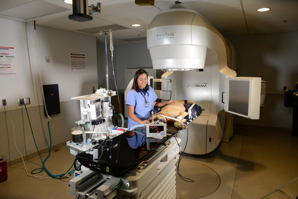 UC Davis plans to improve Vet Med Center