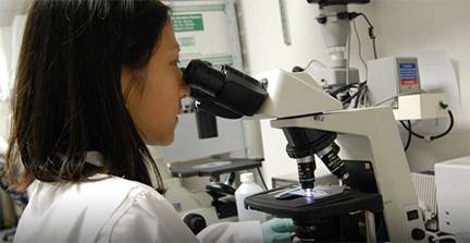 Penn Vet to host inaugural Cancer Center Symposium