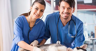 American Humane Hero Veterinarian, Veterinary Nurse 2018 nominations open