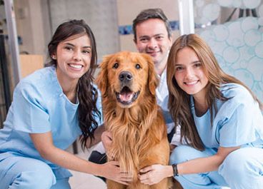 Veterinary Mental Health Practitioners forms as part of AAVMC