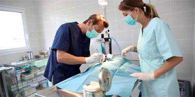 Disinfection protocols: A clean start