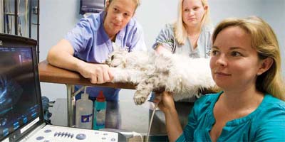 Equipment focus: Cardiac diagnostics