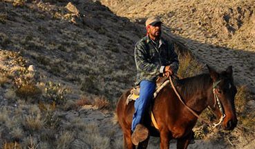 MU study discovers therapeutic riding programs help PTSD veterans