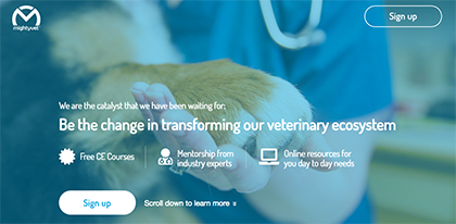 MightyVet launches veterinary career, well-being support platform