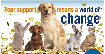 VCA Animal Hospitals kick off second Pennies for Pets campaign