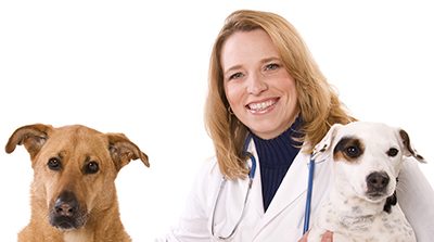 WVC Women's Veterinary Summit registration open, speakers named