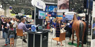 Getting the most from a conference