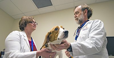 Auburn Oncology Service launches melanoma drug clinical trial