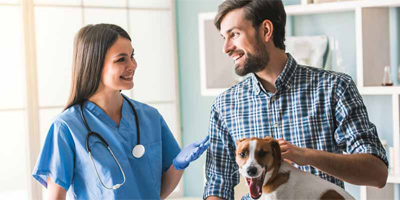 Veterinarians need to change with today's pet owners