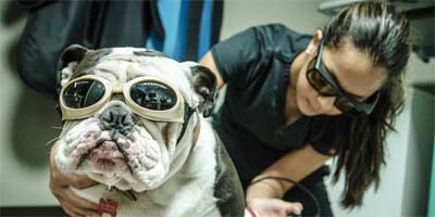 Spotlight on laser therapy