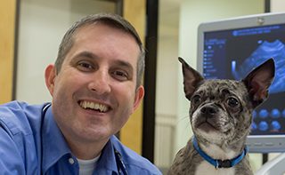 Portland, Ore., veterinarian wins My Vet’s the Best