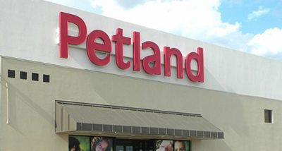 Petland retail franchise hires consulting veterinarian