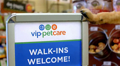 pet vet vip pet care