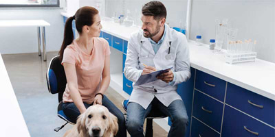 Four lessons from human dentists