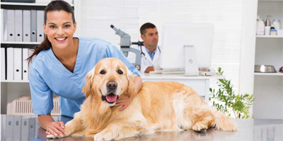 Does your clinic’s entrance frighten pets?