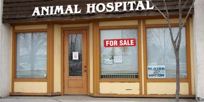How to sell your practice