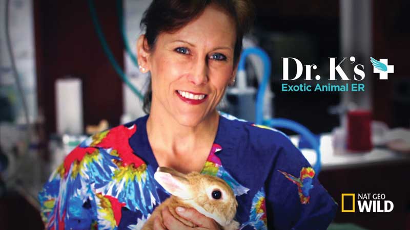 dr k veterinarian