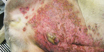 How to reduce surgical site infections