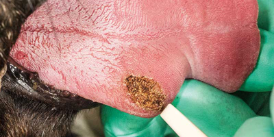 Using soft tissue surgical lasers