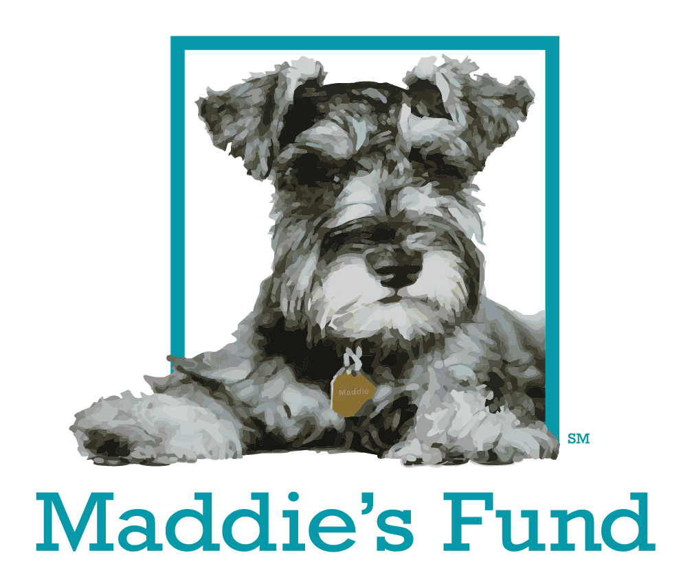 Maddie's Fund grants $2.8M to aid access to veterinary care