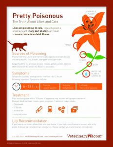 Photo courtesy of VeterinaryPR.com
