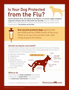 Photo courtesy of VeterinaryPR.com