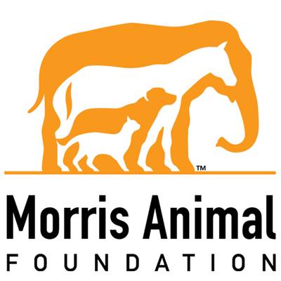 animal foundation