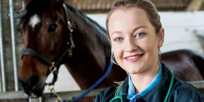 Strategies for equine deworming