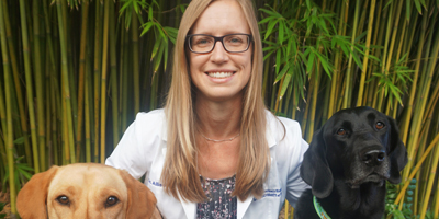 NIH awards UF veterinarian five-year grant to study canine diabetes