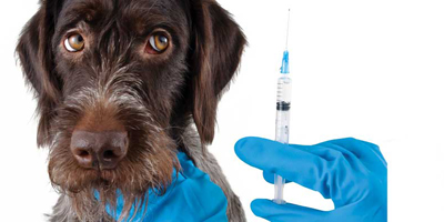 Assessing claims of vaccine-induced ITP, IMHA