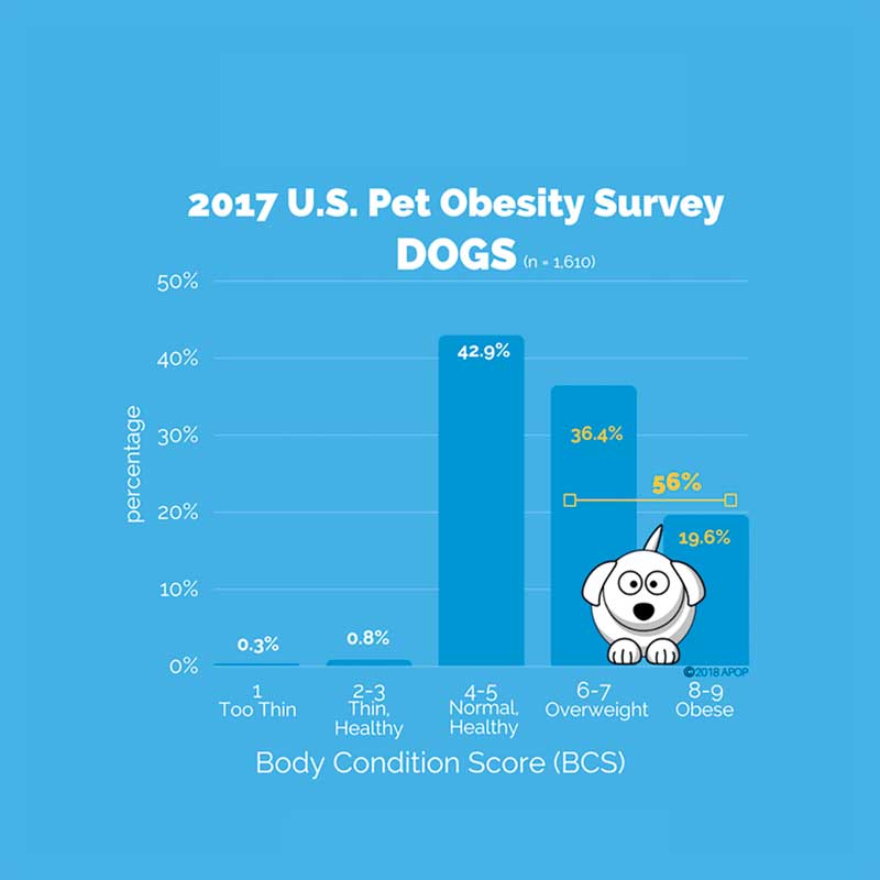 Photo courtesy ©Association for Pet Obesity Prevention