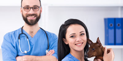 AVMA offers new veterinary team development resource