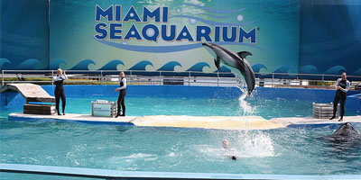 American Humane certifies two new facilities through conservation program